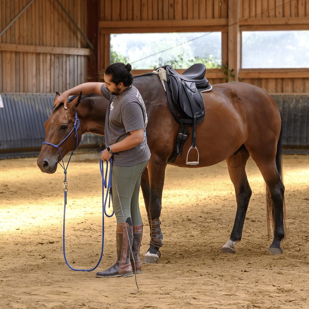 Pferdetrainer arbeitet mit sensiblen Problempferd im Einzeltraining