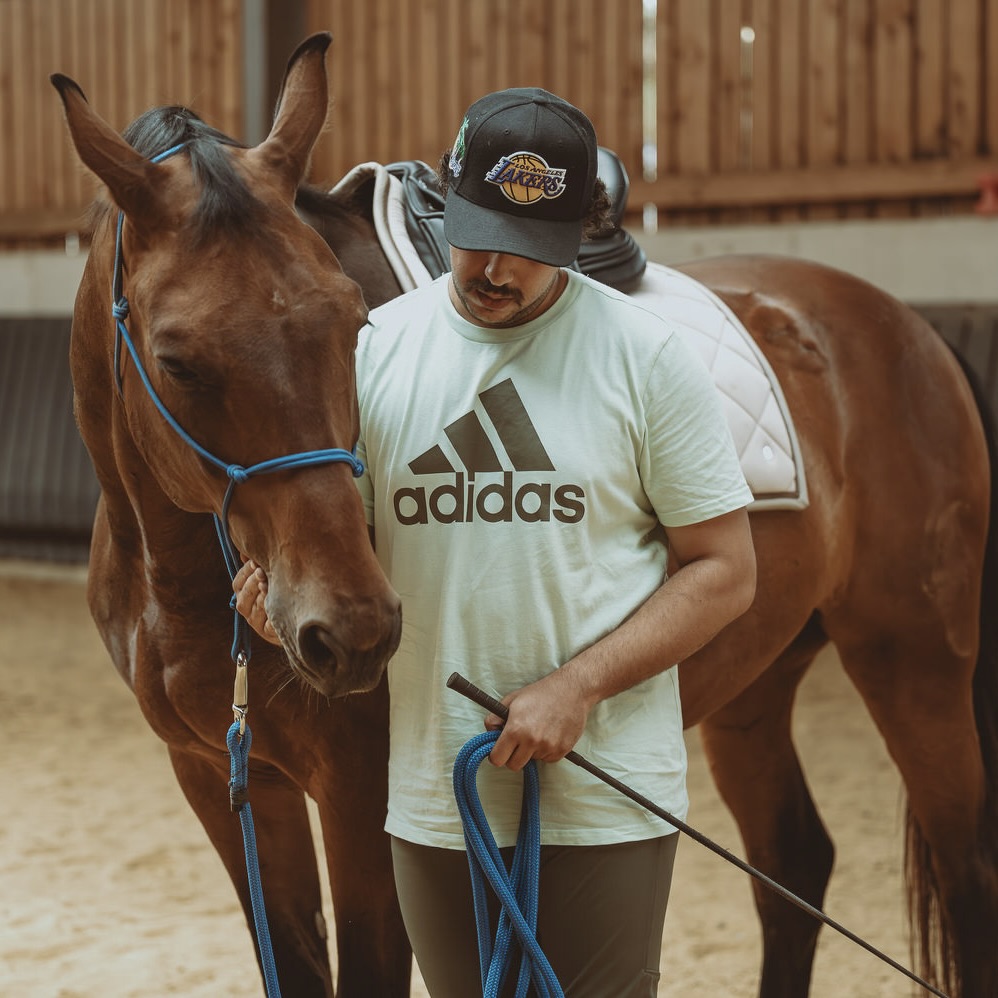 Vertrauensaufbau zwischen Pferd und Mensch durch ruhiges Training